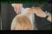 salon1_025