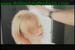 salon1_026