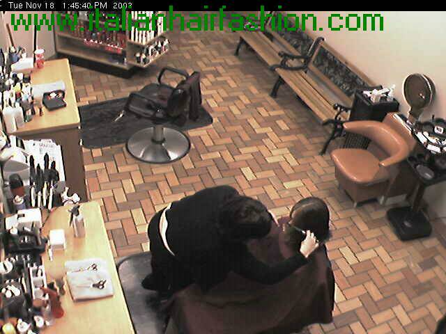 wbc12_100