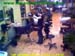 wbc02_088