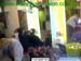 wbc03_033