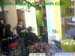 wbc03_048
