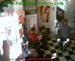 wbc05_013