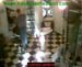 wbc05_027