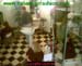 wbc06_016
