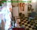 wbc06_022