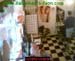 wbc06_033