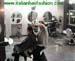 wbc07_008