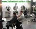 wbc07_010