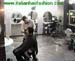 wbc07_029