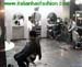wbc07_038