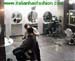 wbc07_045