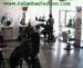 wbc10_006