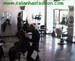 wbc10_023