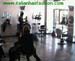 wbc10_025