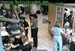wbc11_015