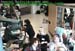 wbc11_021