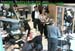 wbc11_037
