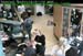 wbc11_038