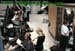 wbc11_059