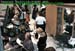 wbc11_061