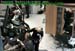 wbc11_067