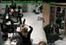 wbc11_094