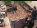 wbc12_021