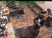 wbc12_024