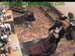 wbc12_027