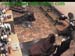 wbc12_028
