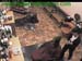 wbc12_046