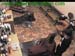 wbc12_048