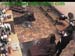 wbc12_052