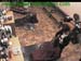 wbc12_055