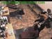 wbc12_056