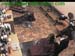 wbc12_058