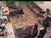 wbc12_062