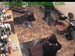 wbc12_068