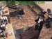 wbc12_075
