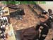 wbc12_104