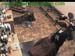 wbc12_116