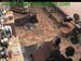 wbc12_161