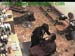 wbc12_163
