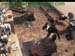wbc12_165