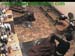 wbc12_167