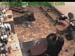 wbc12_168