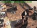 wbc12_173