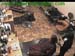 wbc12_176