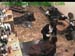wbc12_177